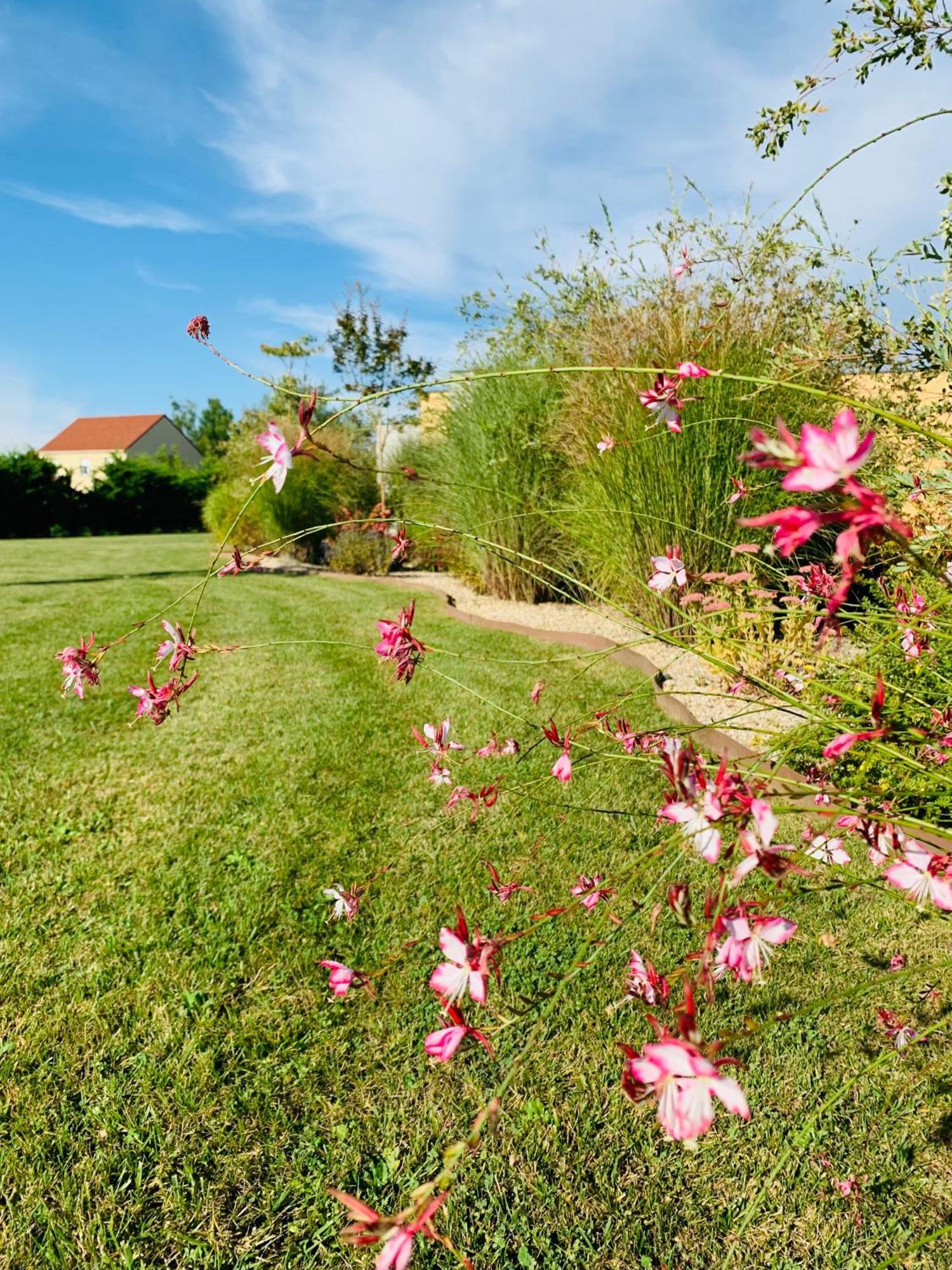 Boutervilliers Hotel & Restaurant La Maison Des Bles מראה חיצוני תמונה